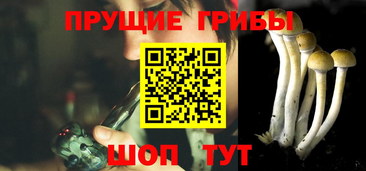 где продают наркотики  Вход с VPN  Галлюциногенные грибы Magic Shrooms  Каспийск  Псилоцибиновые грибы мицелий 